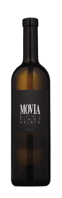 Movia Sivi Pinot Grigio 2020  Front Bottle Shot