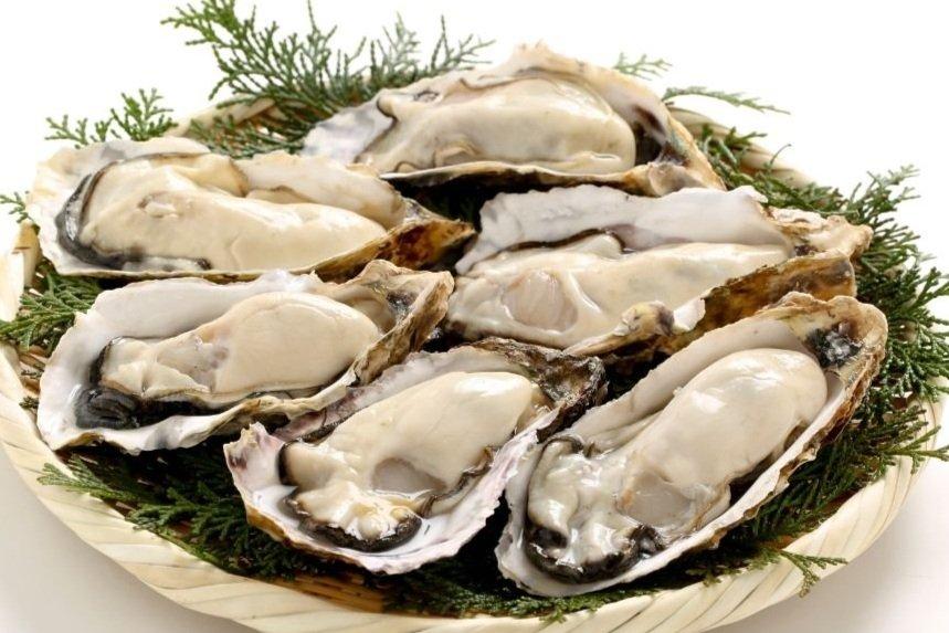 hamaichi-japanese-oysters-img
